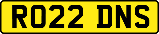 RO22DNS
