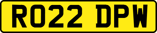 RO22DPW