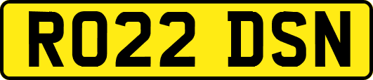 RO22DSN