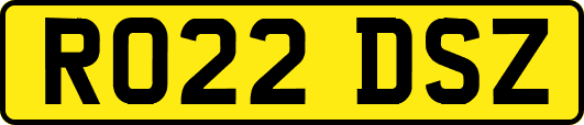 RO22DSZ