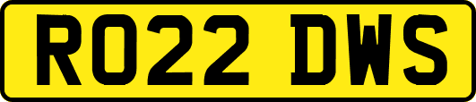 RO22DWS