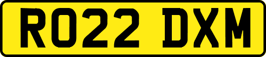 RO22DXM