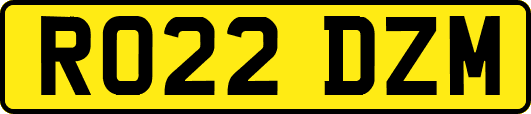 RO22DZM