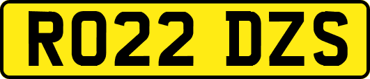 RO22DZS