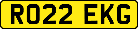 RO22EKG
