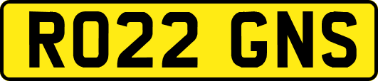 RO22GNS