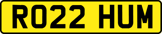 RO22HUM