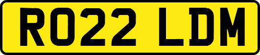 RO22LDM