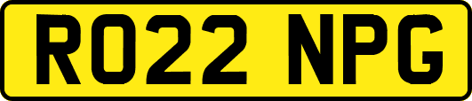 RO22NPG