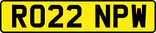 RO22NPW