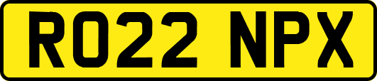 RO22NPX