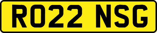 RO22NSG
