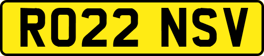 RO22NSV