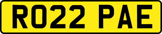 RO22PAE