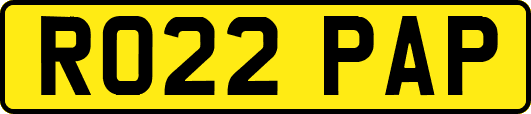 RO22PAP
