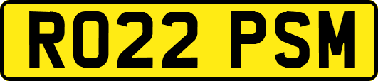 RO22PSM