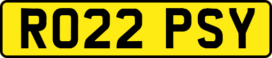 RO22PSY