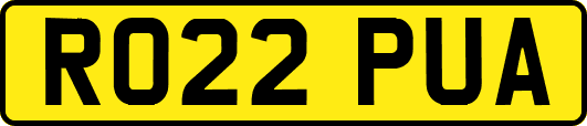 RO22PUA