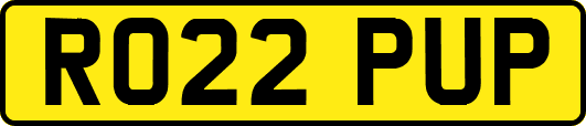 RO22PUP