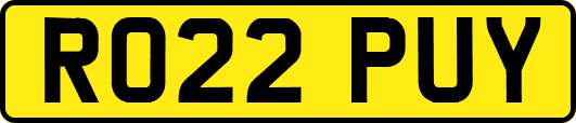RO22PUY