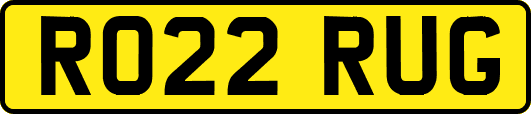 RO22RUG