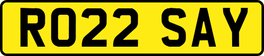 RO22SAY