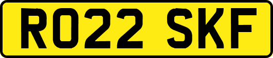 RO22SKF