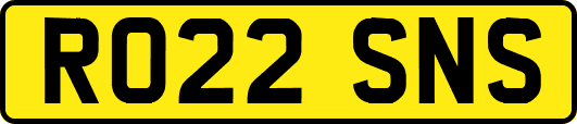 RO22SNS