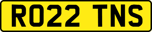RO22TNS