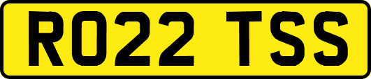 RO22TSS