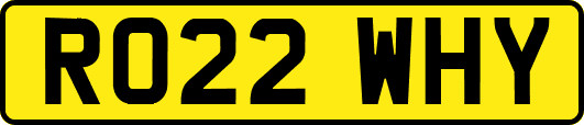 RO22WHY