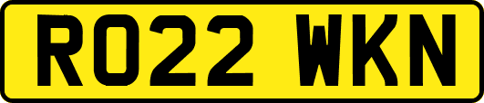 RO22WKN