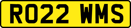 RO22WMS