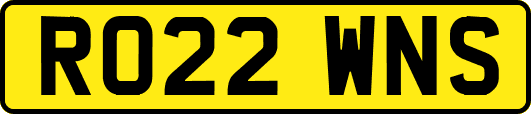 RO22WNS
