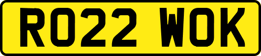 RO22WOK