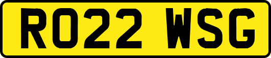 RO22WSG