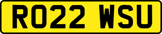 RO22WSU