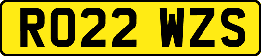 RO22WZS