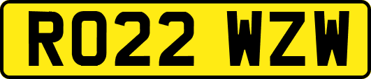 RO22WZW