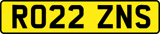 RO22ZNS