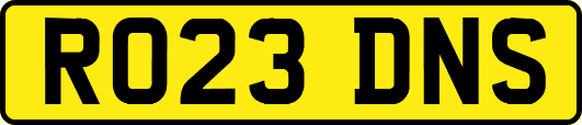 RO23DNS