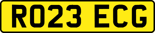 RO23ECG