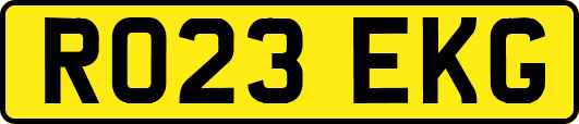 RO23EKG