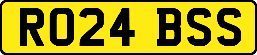 RO24BSS