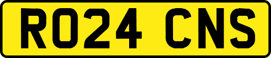 RO24CNS