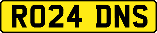 RO24DNS