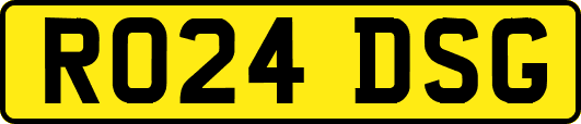 RO24DSG