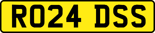 RO24DSS