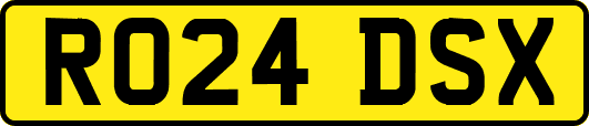 RO24DSX
