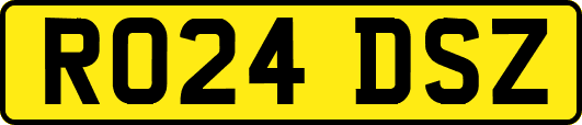 RO24DSZ